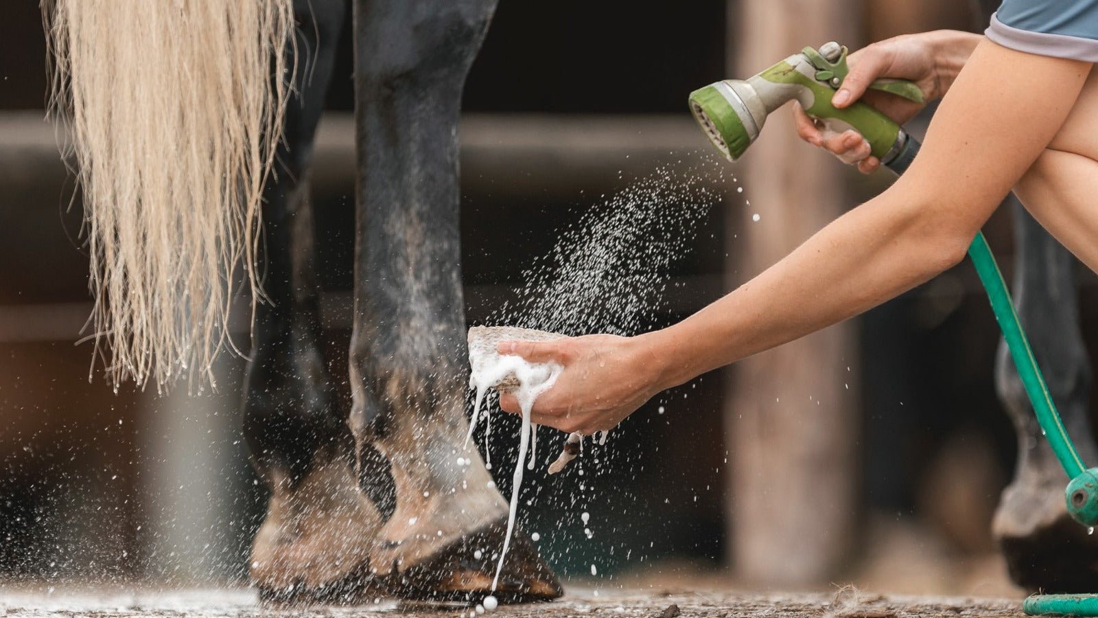 Shampoo, Water, Actie! - PIPPA Equestrian Soap