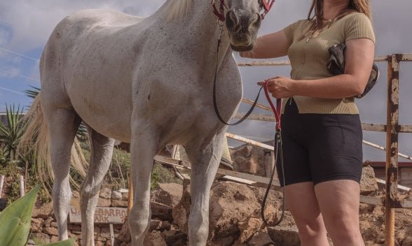 Tenerife Horse Rescue & PIPPA, een duurzame samenwerking - PIPPA Equestrian Soap