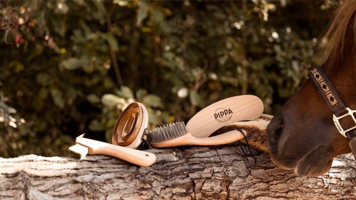 Borstels - PIPPA Equestrian Soap