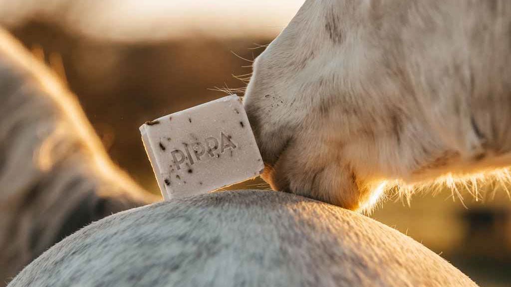 Paardenshampoo - PIPPA Equestrian Soap