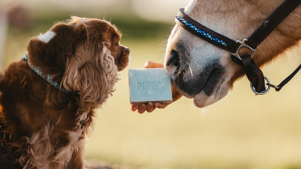PIPPA natuurlijke paardenshampoo bars