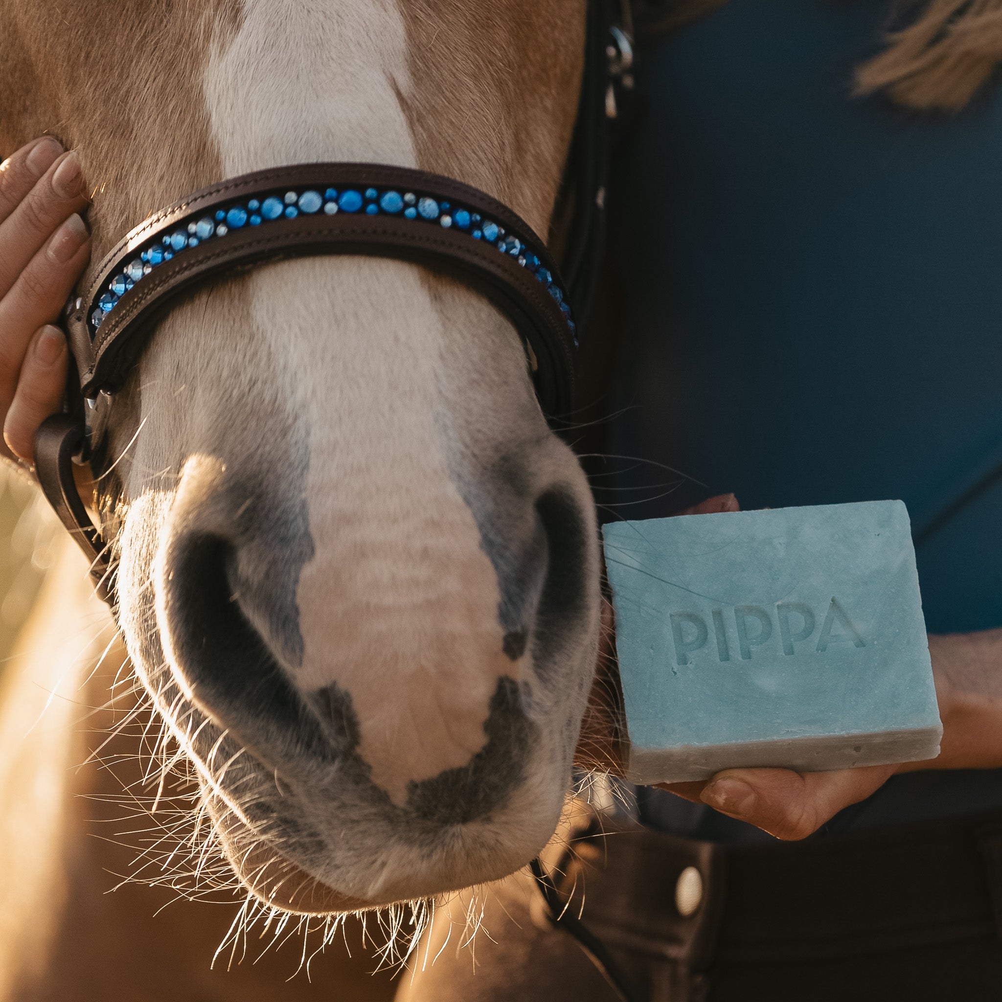 Paardenreinigingsborstel Praktische Paardenverzorgingstool - Lichtgewicht En Eenvoudig Te Gebruiken