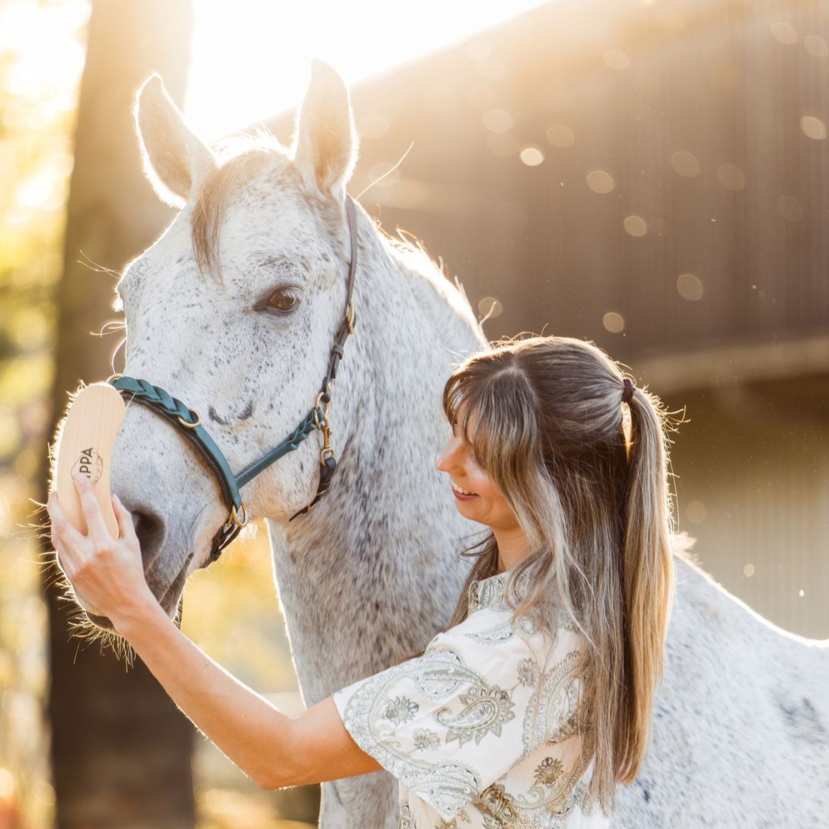 PIPPA Harde Flick Borstel - PIPPA Equestrian Soap - Borstels