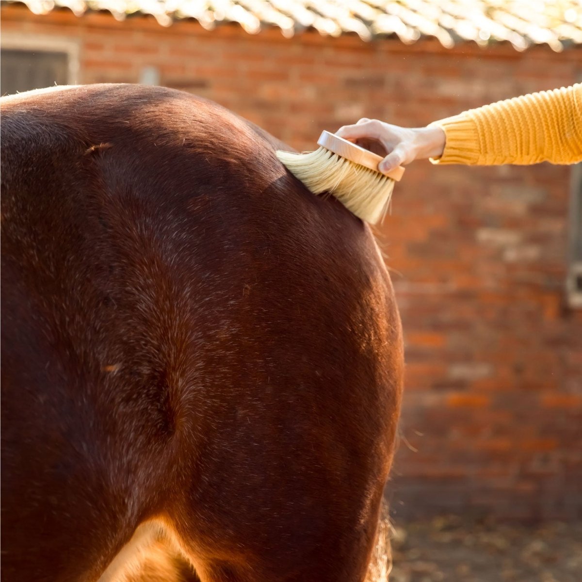PIPPA Harde Flick Borstel - PIPPA Equestrian Soap - Borstels
