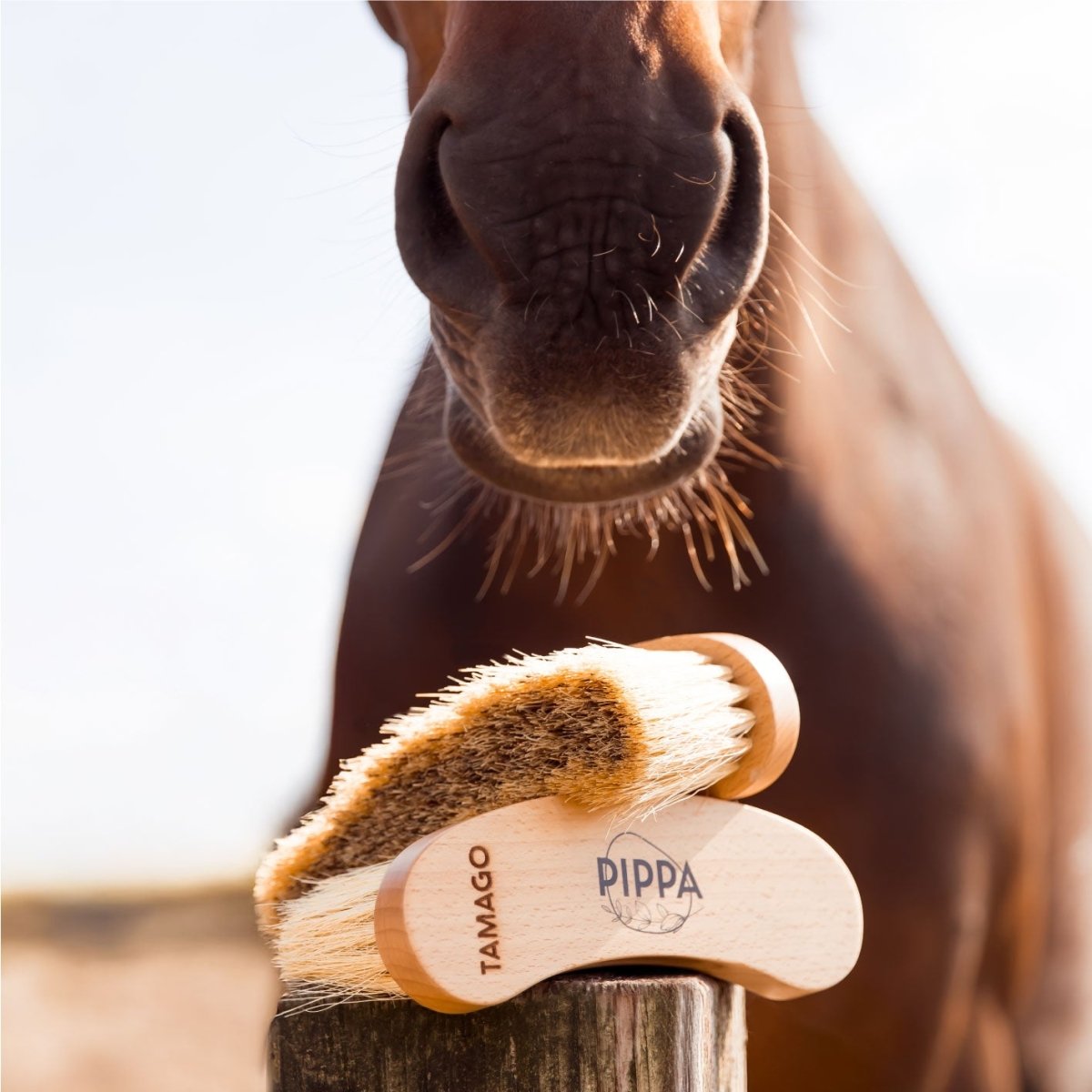 PIPPA Harde Flick Borstel - PIPPA Equestrian Soap - Borstels