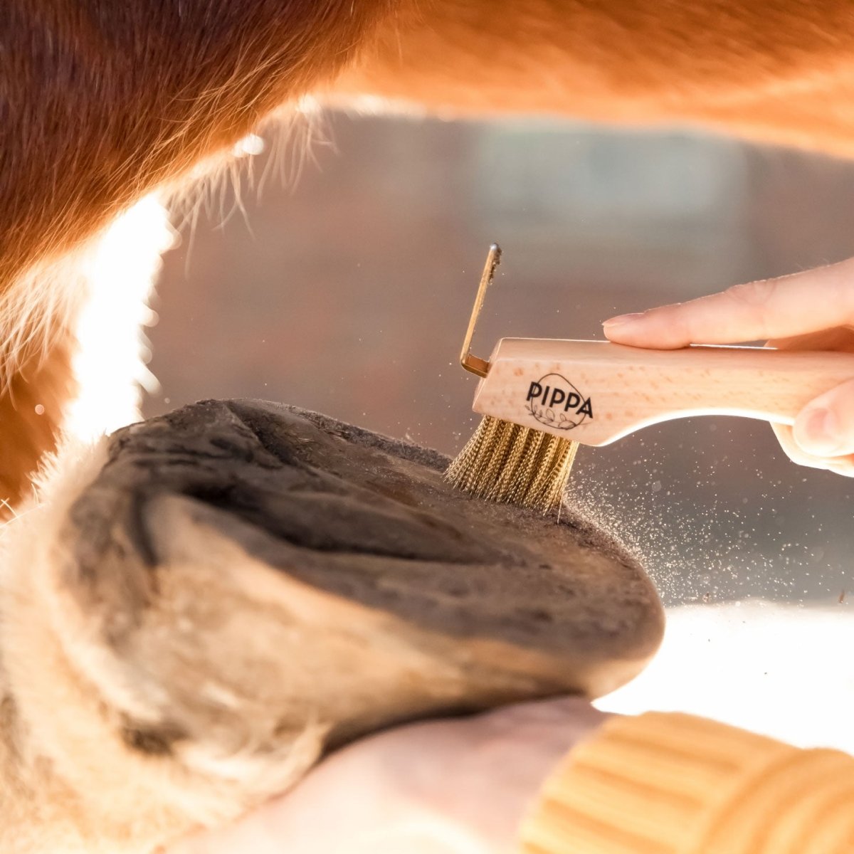 PIPPA Hoevenkrabber - PIPPA Equestrian Soap - Borstels