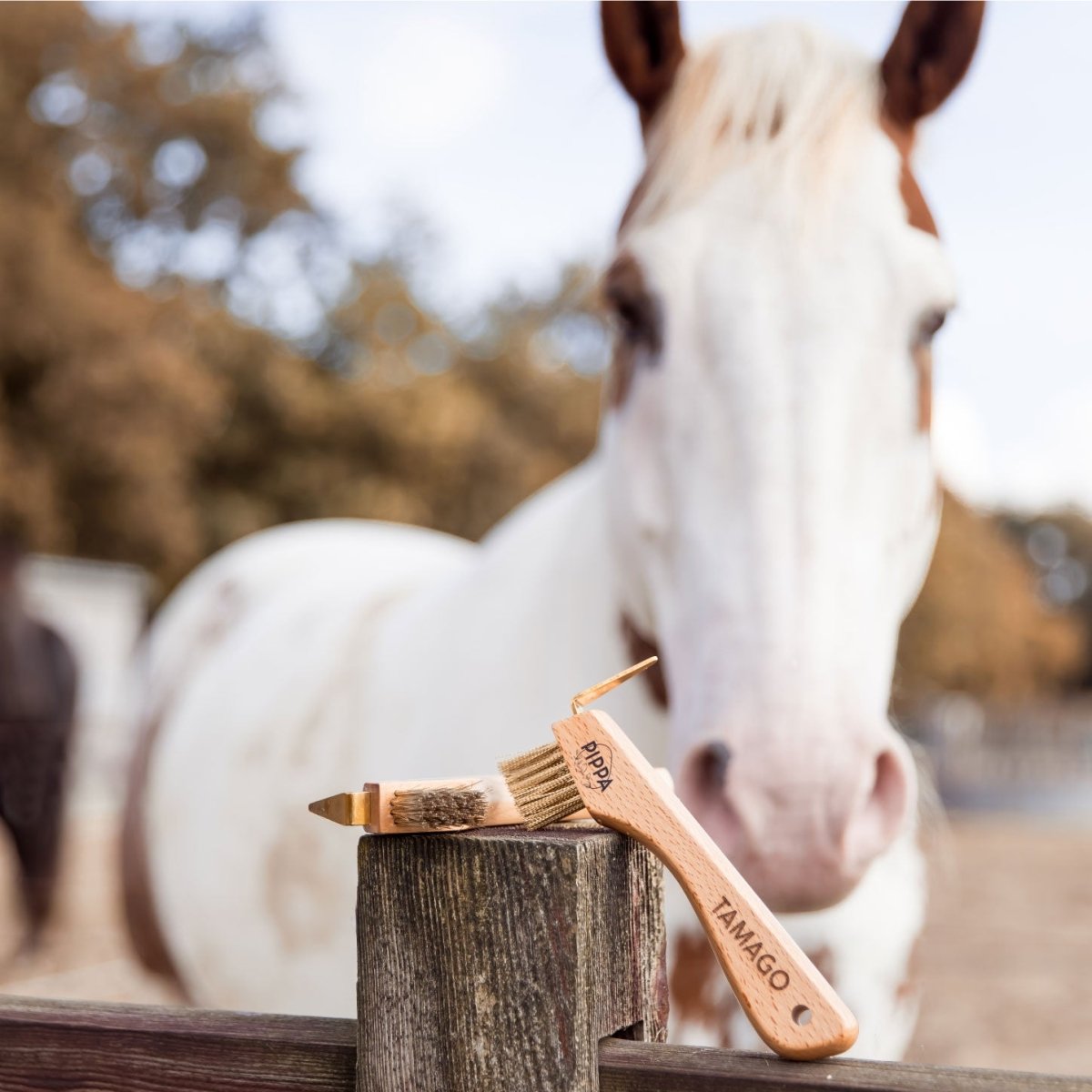 PIPPA Hoevenkrabber - PIPPA Equestrian Soap - Borstels