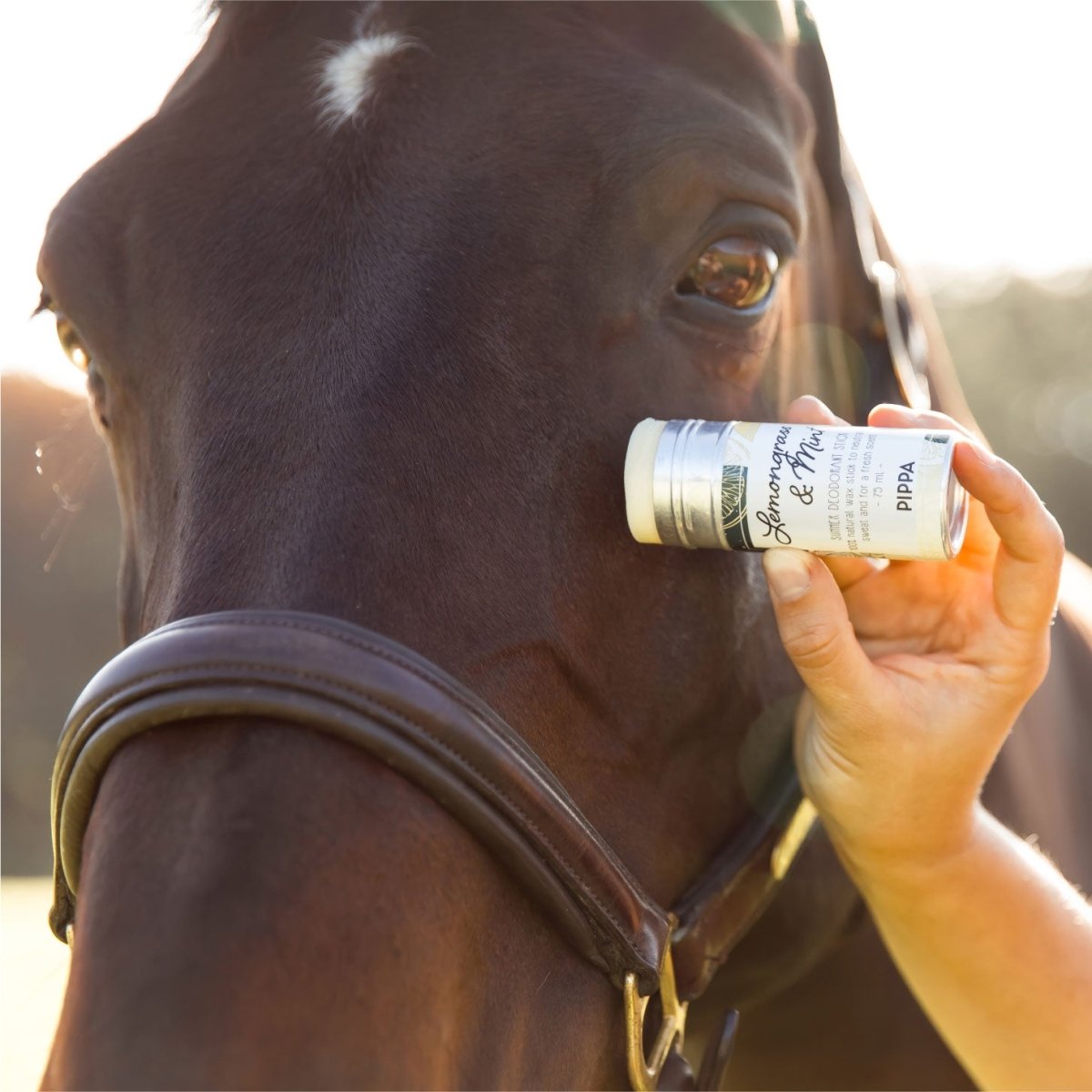 PIPPA Lemongrass & Mint Summer Deodorant Stick - PIPPA Equestrian Soap - Vliegenspray