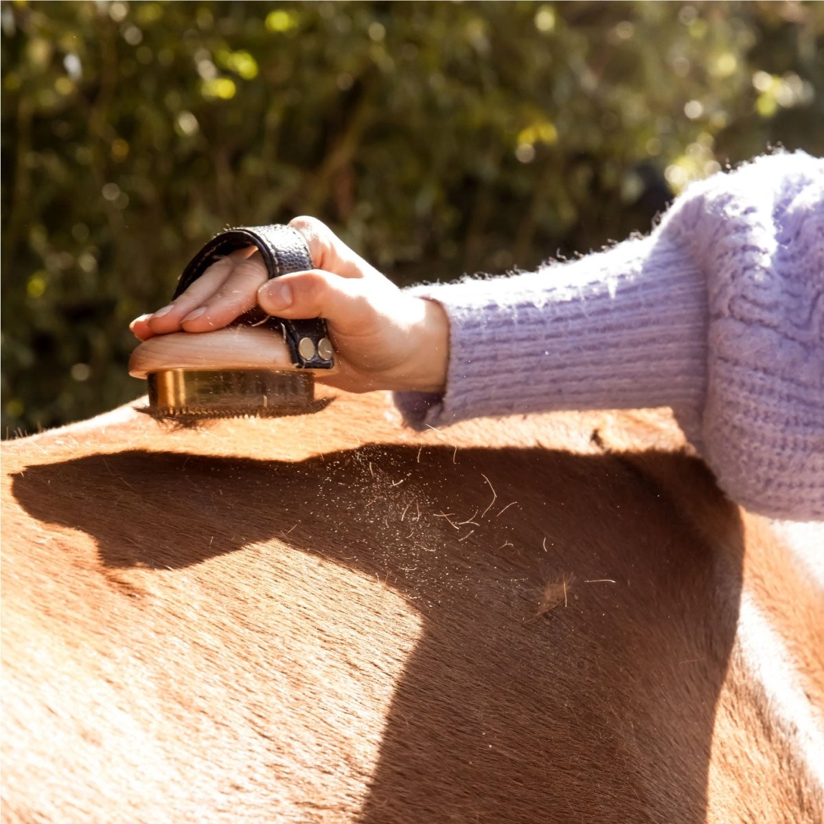 PIPPA Metalen Rosborstel - PIPPA Equestrian Soap - Borstels