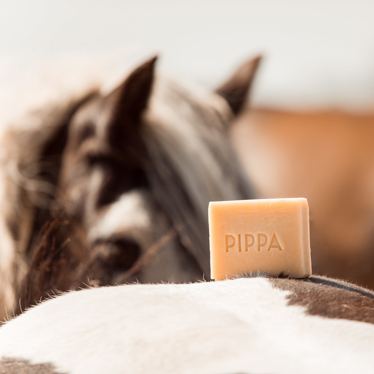 PIPPA Paardenshampoo Lemongrass & Mint - PIPPA Equestrian Soap - Shampoo en crèmespoeling voor huisdieren
