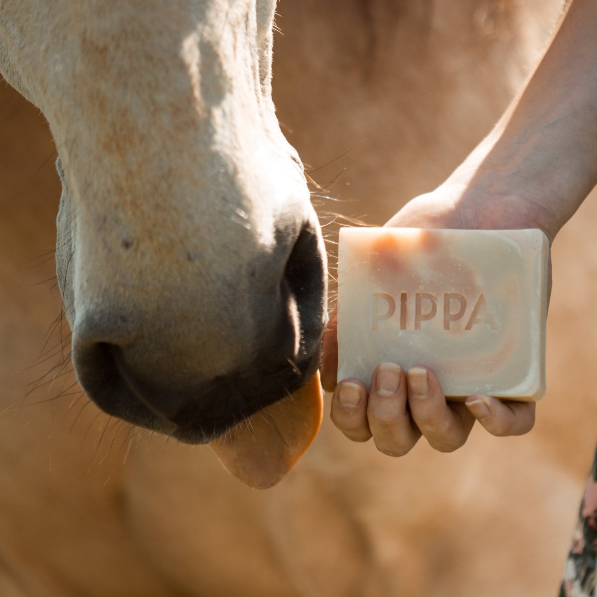 PIPPA Paardenshampoo Rosemary & Rice - PIPPA Equestrian Soap - Shampoo en crèmespoeling voor huisdieren