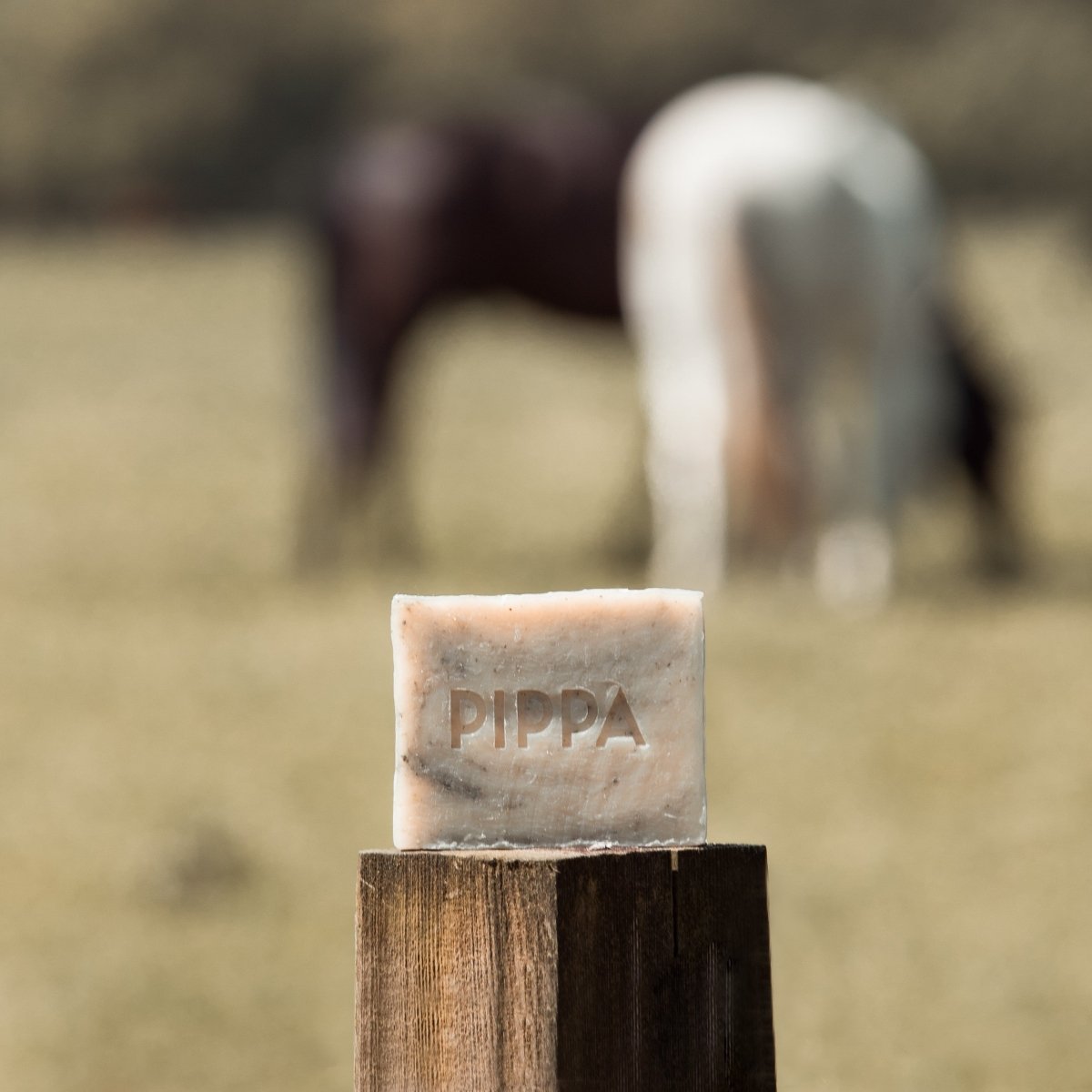PIPPA Paardenshampoo Tea Tree & Eucalyptus - PIPPA Equestrian Soap - Shampoo en crèmespoeling voor huisdieren