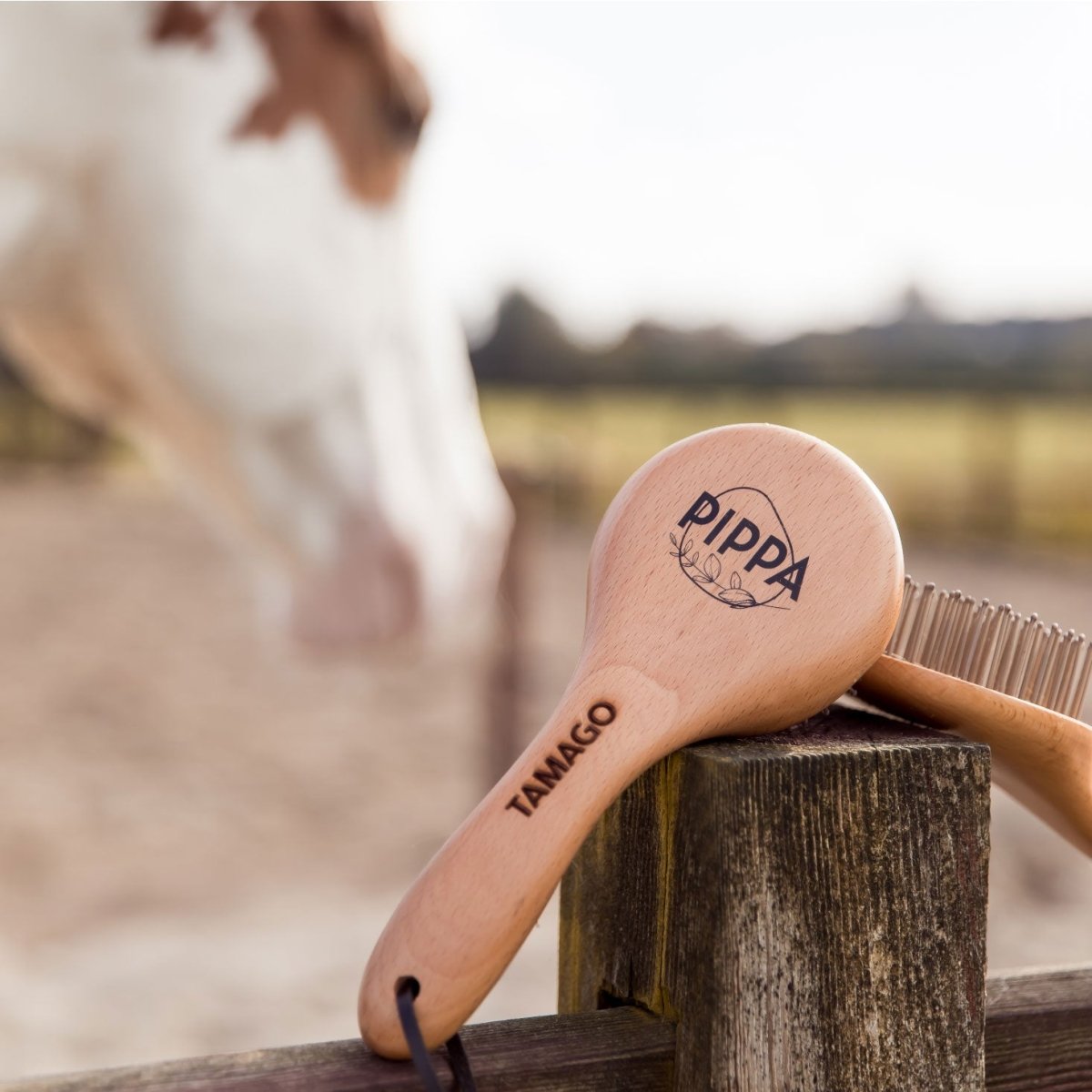 PIPPA Staart - & Manenborstel - PIPPA Equestrian Soap - Borstels