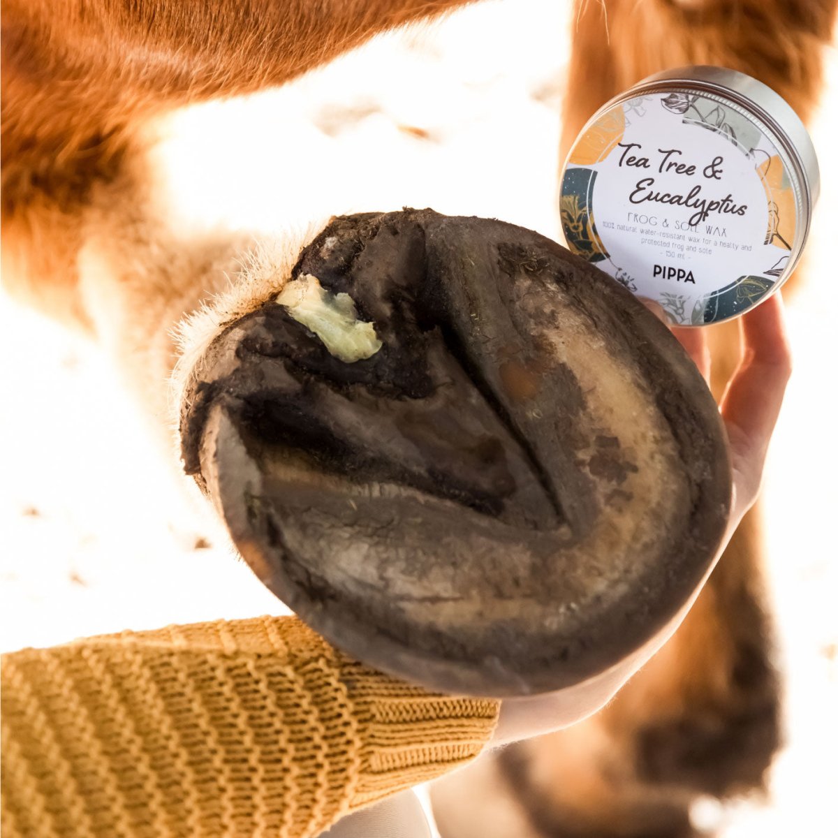 PIPPA Tea Tree & Eucalyptus Straal en Zool Wax - PIPPA Equestrian Soap - Hoefverzorging