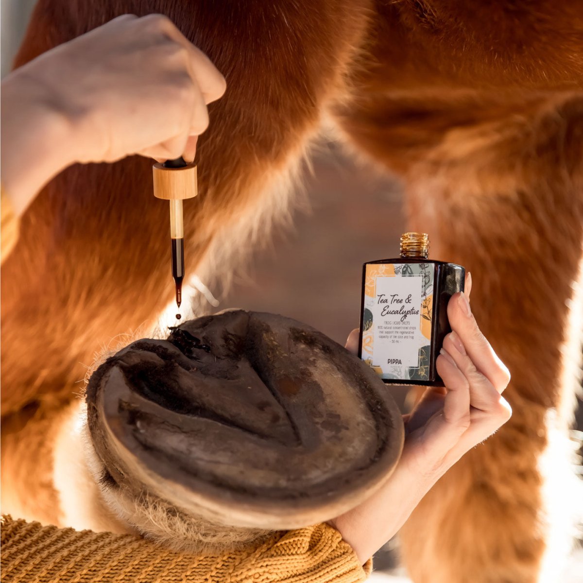 PIPPA Tea Tree & Eucalyptus Straal Vloeistof Druppels - PIPPA Equestrian Soap - Hoefverzorging