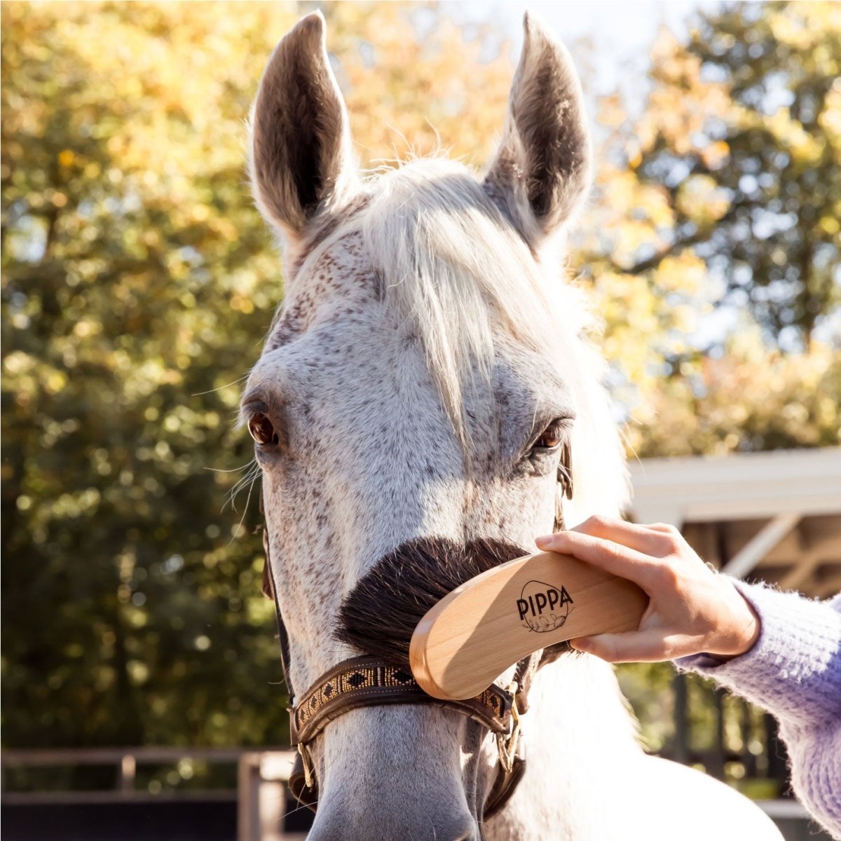 PIPPA Zachte Flick Borstel - PIPPA Equestrian Soap - Borstels