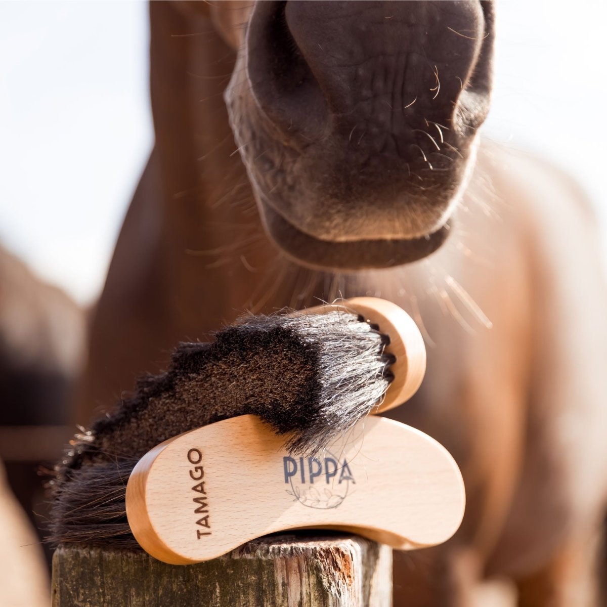 PIPPA Zachte Flick Borstel - PIPPA Equestrian Soap - Borstels