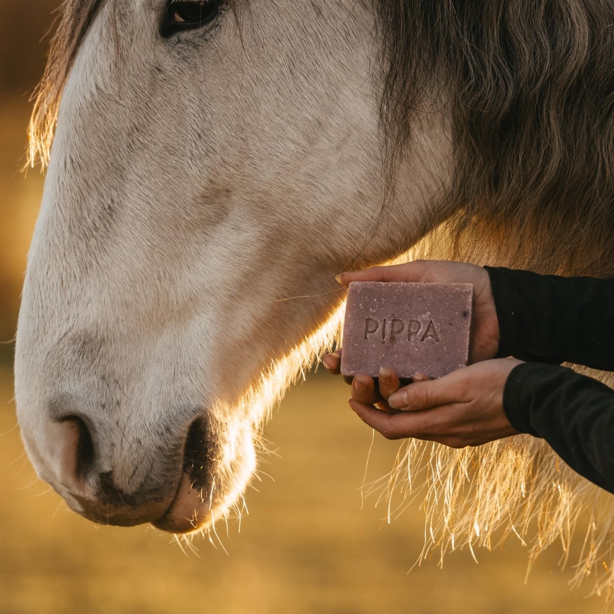 PIPPA Paardenshampoo Hibiscus & Chamomile - PIPPA Equestrian Soap - Shampoo en crèmespoeling voor huisdieren