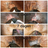PIPPA Paardenshampoo Honey & Propolis - PIPPA Equestrian Soap - Shampoo en crèmespoeling voor huisdieren