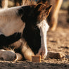 PIPPA Paardenshampoo Honey & Propolis - PIPPA Equestrian Soap - Shampoo en crèmespoeling voor huisdieren